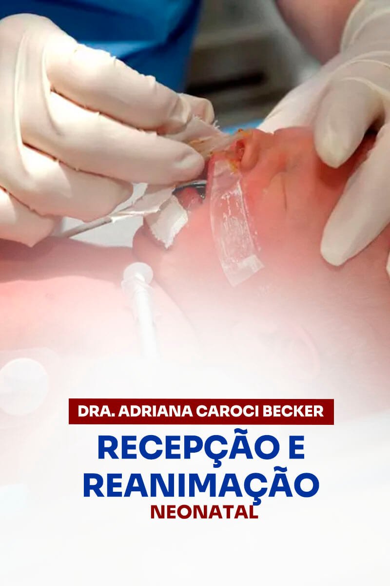 capa-02
